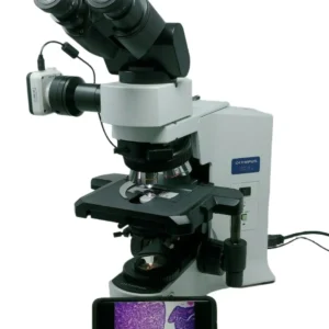Olympus Microscope BX41 with 2x, 60x, and Camera