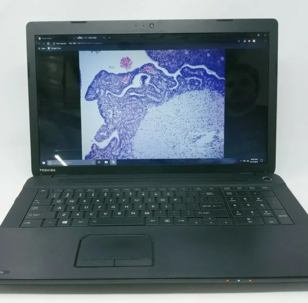 Olympus Microscope BX41 with 2x, 60x, and Camera - Image 13